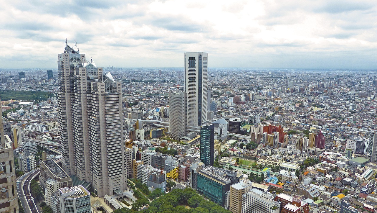 Sushi Masterclass: Dive into Tokyo's Culinary Tradition